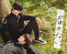 seo推广容易做吗